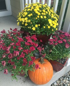 10-15-Front-Portch-Mums